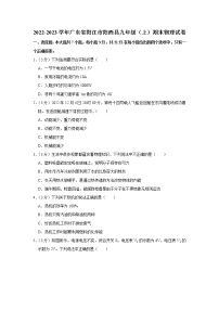 广东省阳江市阳西县2022-2023学年九年级上学期期末物理试题(含答案)