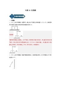 专题19 作图题-5年（2018-2022）中考1年模拟物理分项汇编（上海专用）（解析版）