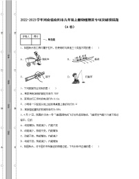 2022-2023学年河南省南阳市九年级上册物理期末专项突破模拟题（AB卷）含解析