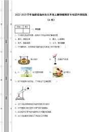 2022-2023学年福建省福州市九年级上册物理期末专项提升模拟题（AB卷）含解析