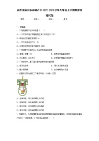 山东省滨州市滨城八中2022-2023学年九年级上学期期末物理试题-(含答案)