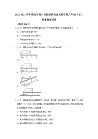 湖北省阳新县光谷实验学校2022-2023学年八年级上学期期末考试物理试题(含答案)