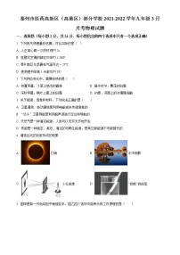 泰州市医药高新区（高港区）部分学校2021-2022学年九年级3月月考物理试题（含解析）