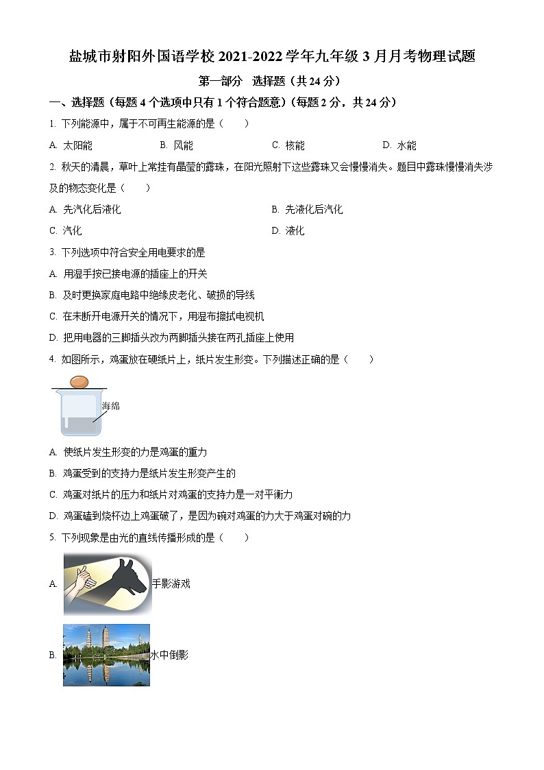 盐城市射阳外国语学校2021-2022学年九年级3月月考物理试题（含解析）01