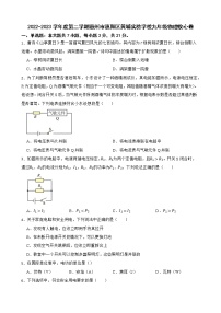 广东省惠州市惠阳区黄埔实验学校2022-2023学年九年级下学期开学考试物理试题