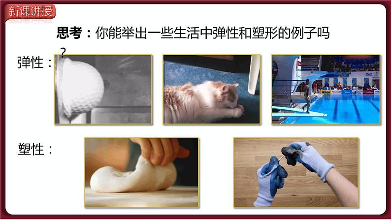 7.2 弹力（课件）2022-2023学年人教版物理八年级下册05