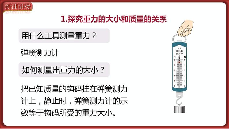 7.3 第1课时 重力及重力的大小（课件）2022-2023学年人教版物理八年级下册08