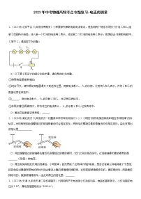 2023年中考物理高频考点专题复习-电流的测量