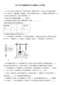 2023年中考物理高频考点专题强化-力学实验