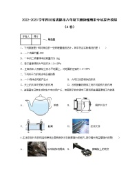 2022-2023学年四川省成都市八年级下册物理期末专项提升模拟（AB卷）含解析