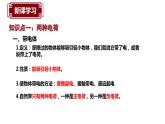 15.1两种电路课件PPT