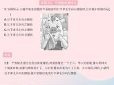 2023八年级物理上册第四章光现象易错疑难集训一作业课件新版沪科版