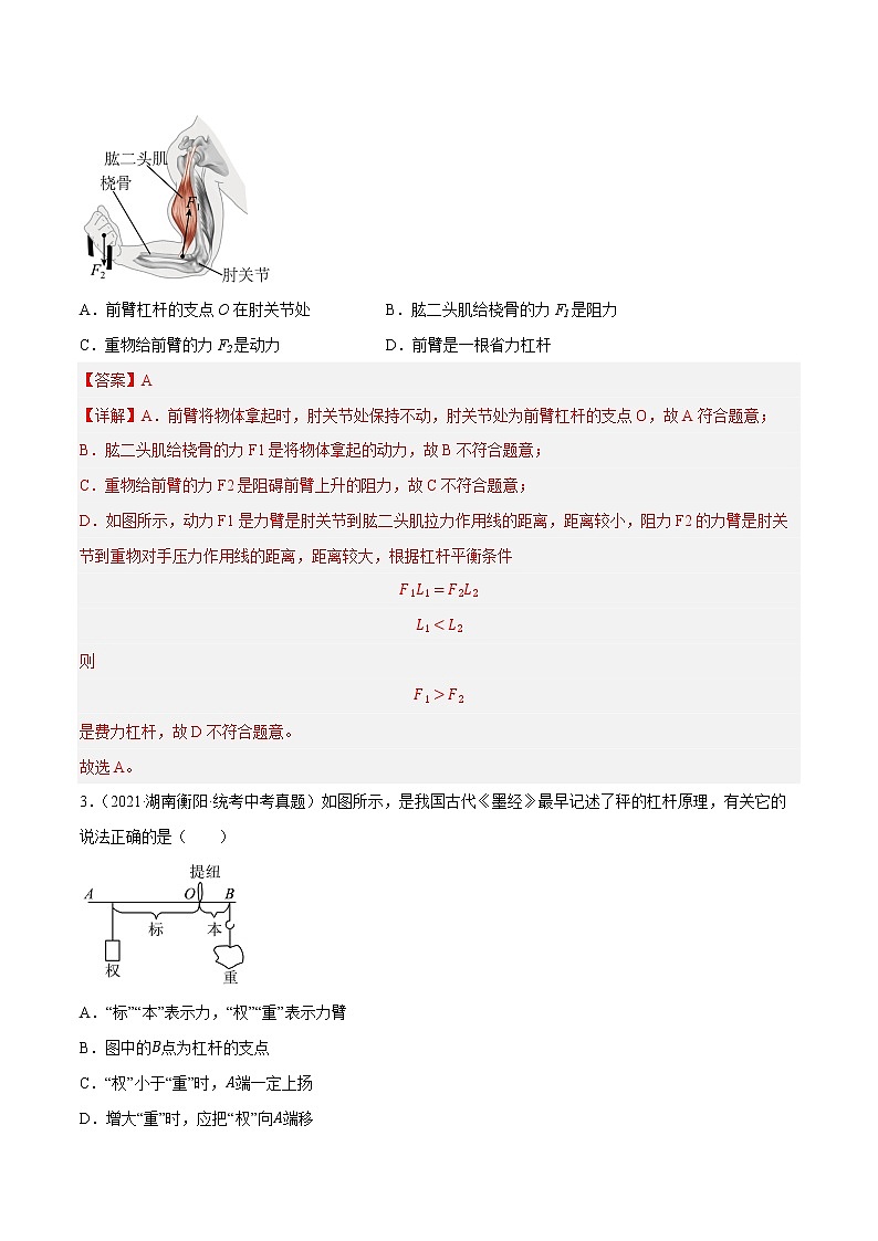 第13讲 杠杆题型分类-中考物理重点核心知识点专题讲练（全国通用）（解析版）第3页