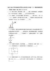 河南省平顶山市叶县2022-2023学年九年级上学期期末物理试卷(含答案)