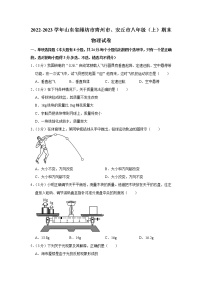 山东省潍坊市青州市、安丘市2022-2023学年八年级上学期期末物理试卷(含答案)