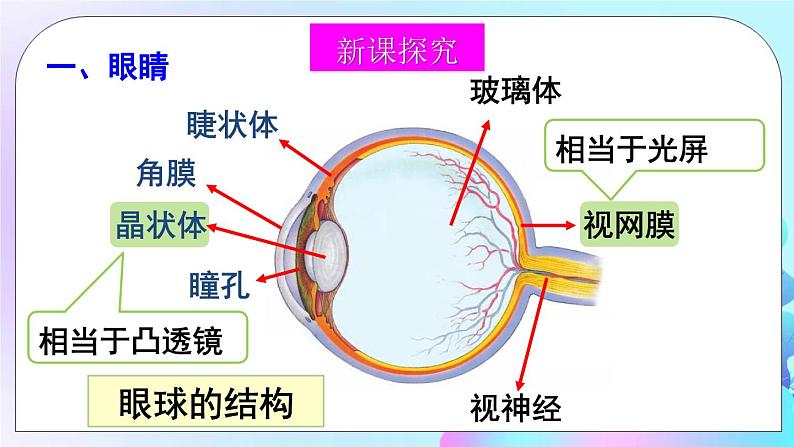 第6章 常见的光学仪器 第4节 眼睛和眼镜 课件+教案+素材03