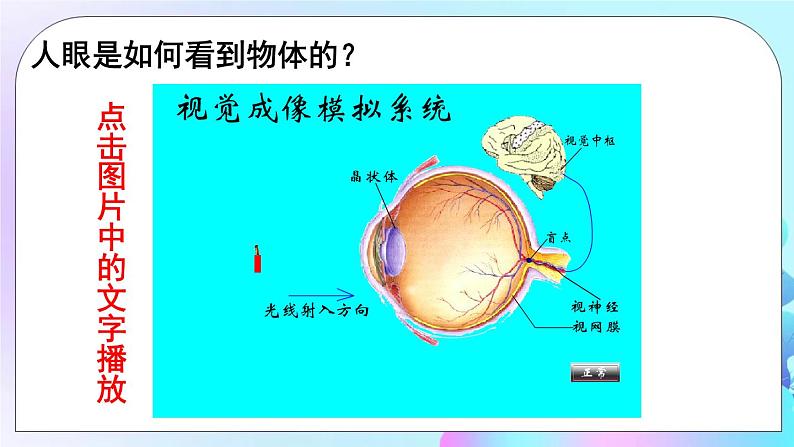 第6章 常见的光学仪器 第4节 眼睛和眼镜 课件+教案+素材04