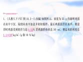 中考物理复习第10讲浮力第2课时物体的浮沉条件及应用教学课件
