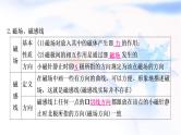 中考物理复习第18讲电与磁教学课件