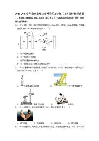 山东省枣庄市峄城区2022-2023学年九年级上学期物理期末试题