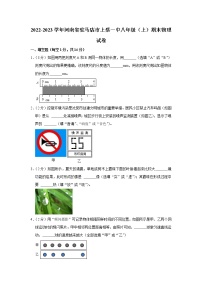 河南省驻马店市上蔡县第一初级中学2022-2023学年八年级上学期期末物理试题（含答案）