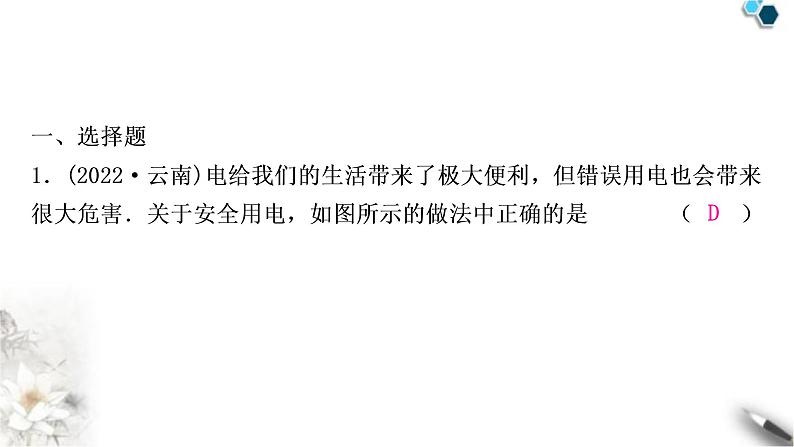 沪科版中考物理总复习第十五章探究电路第4讲家庭用电课件第2页