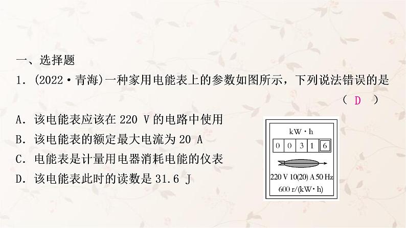 人教版中考物理复习第15讲电功、电功率作业课件第2页