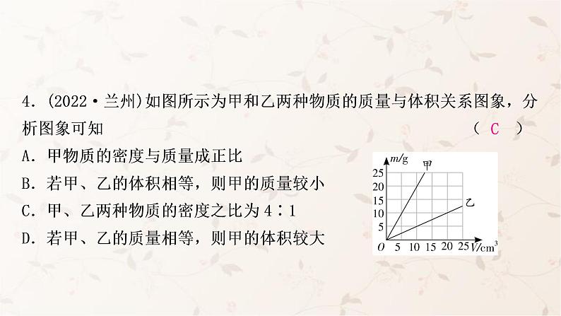 人教版中考物理复习第6讲质量与密度作业课件05