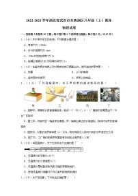 湖北武汉市东西湖区2022-2023学年上学期期末八年级物理试卷(含答案)