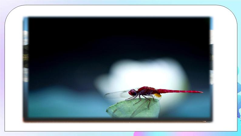 第11章 小粒子与大宇宙 第1节 走进微观 课件+教案03