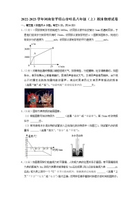 河南省平顶山市叶县2022-2023学年八年级上学期期末物理试卷