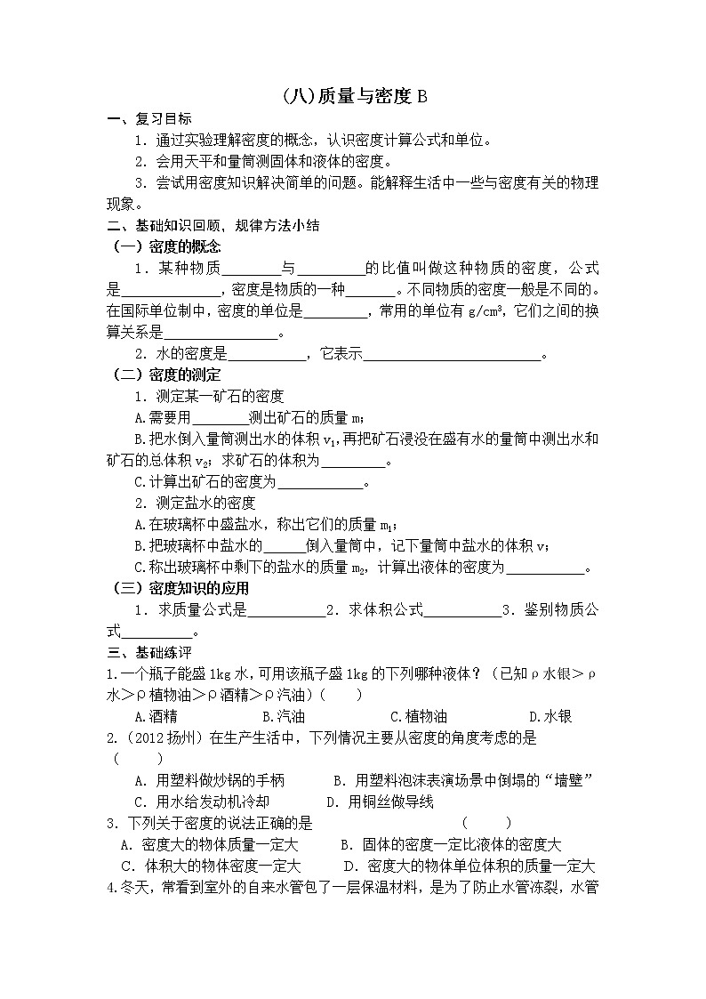 2023年中考物理第一轮复习学案  (八)  质量与密度B第1页