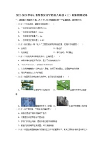 山东省泰安市宁阳县2022-2023学年八年级上学期期末物理试卷（含答案）