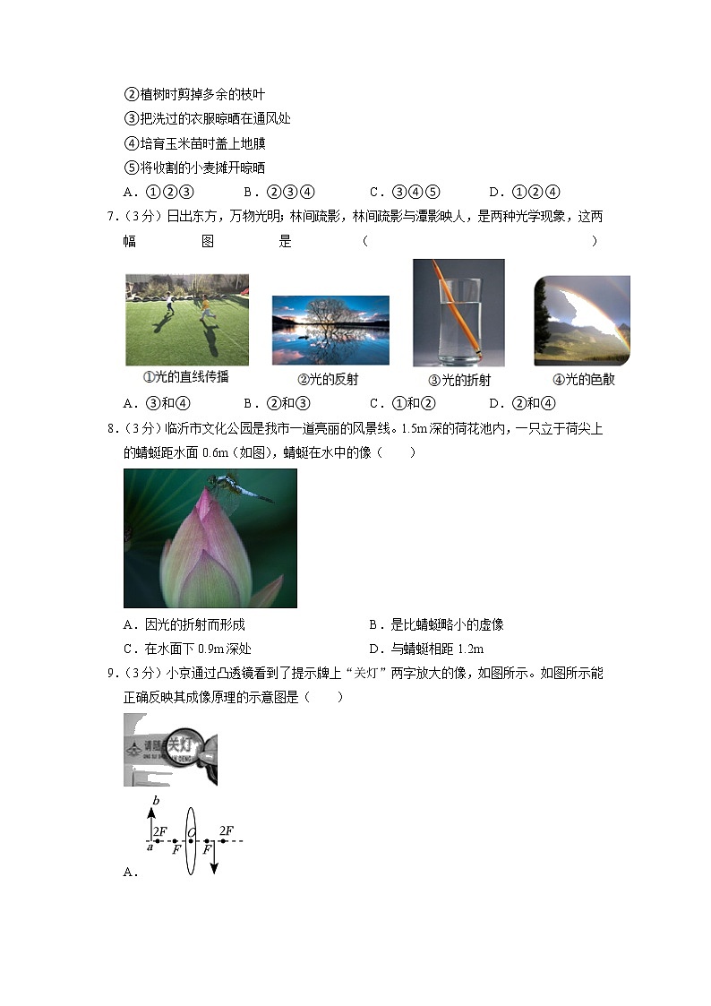 山东省德州市齐河县2022-2023学年度上学期期末考试八年级物理试题02