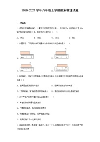 黑龙江省伊春市嘉荫县2020-2021学年八年级上学期期末物理试题（含答案）