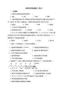 初中物理教科版九年级下册第十章 电磁波与信息技术1 神奇的电磁波课堂检测