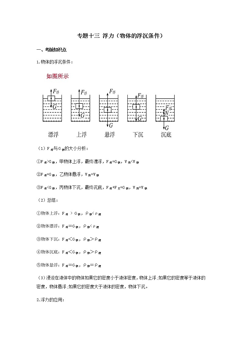 2023中考物理专题十三 浮力（物体的浮沉条件）第1页