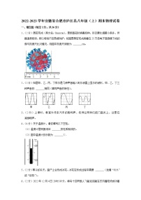 安徽省合肥市庐江县2022-2023学年八年级上学期期末物理试卷(含答案)