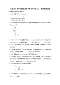 安徽省淮南市寿县2022-2023学年八年级上学期期末物理试卷(含答案)