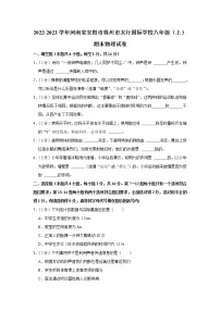 河南省安阳市林州市太行国际学校2022-2023学年八年级上学期期末物理试卷(含答案)