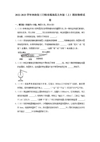 河南省三门峡市渑池县2022-2023学年九年级上学期期末物理试题（含答案）