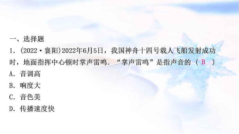 中考物理复习第1讲声现象练习课件第2页