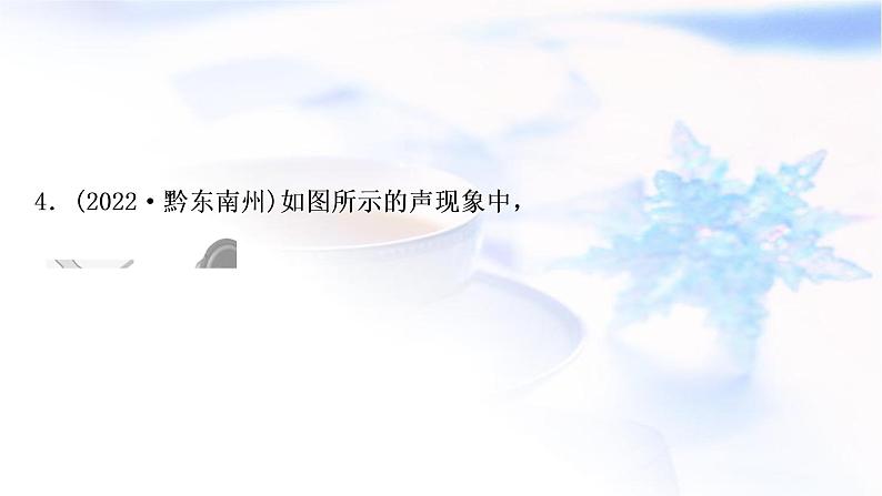 中考物理复习第1讲声现象练习课件第5页
