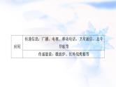 中考物理复习第19讲信息的传递能源与可持续发展教学课件