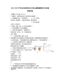 2022-2023学年山东省潍坊市九年级上册物理期末专项突破模拟试题（含解析）