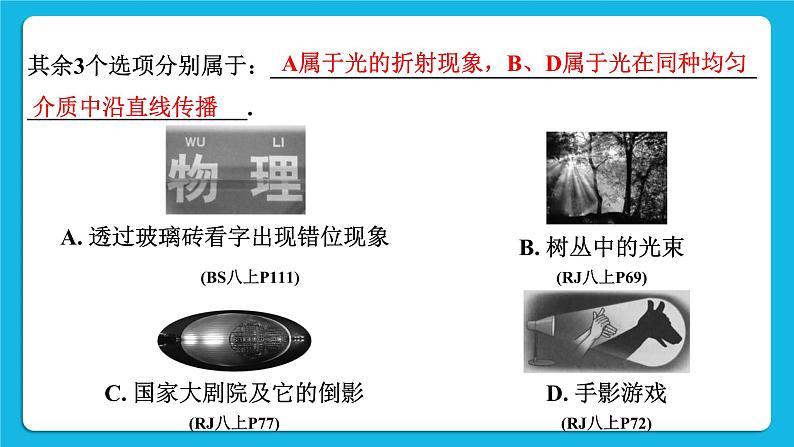 第二讲 光现象 课件05