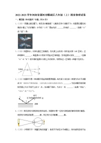 河南省漯河市郾城区2022-2023学年八年级上学期期末物理试题（含答案）