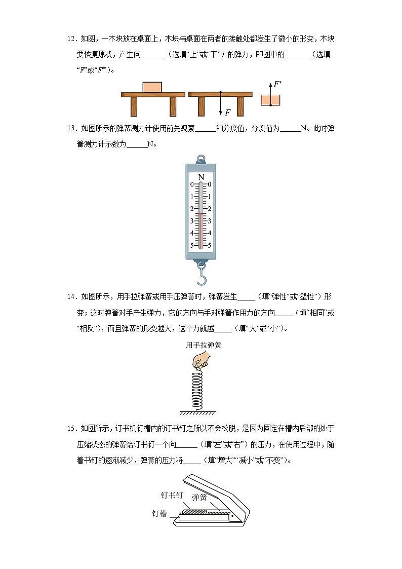 物理人教版8年级下册第七章第2节弹力分层作业（提升版）(含答案)03