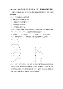 四川省内江市2022-2023学年八年级上学期期末物理测评试卷（含答案）