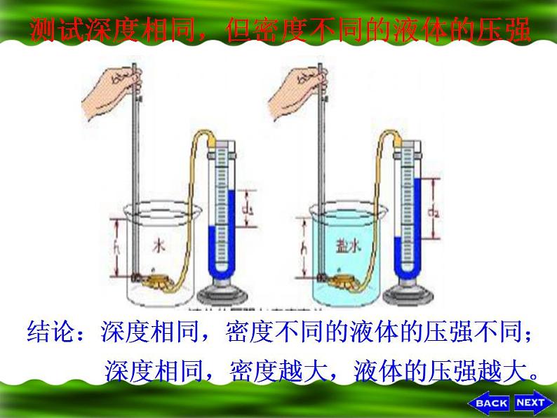 9.2液体的压强课件第8页